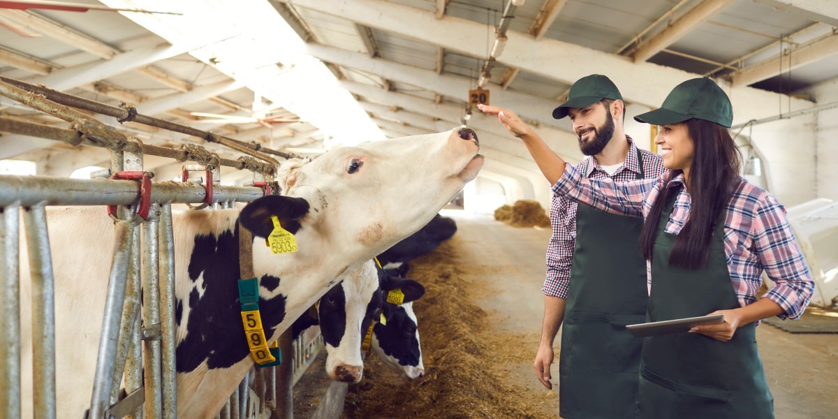 Nutzung der RFID-Technologie für das Präzisionslandwirtschaftsmanagement