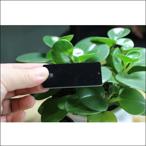 UHF-Metallplakette JT-6025